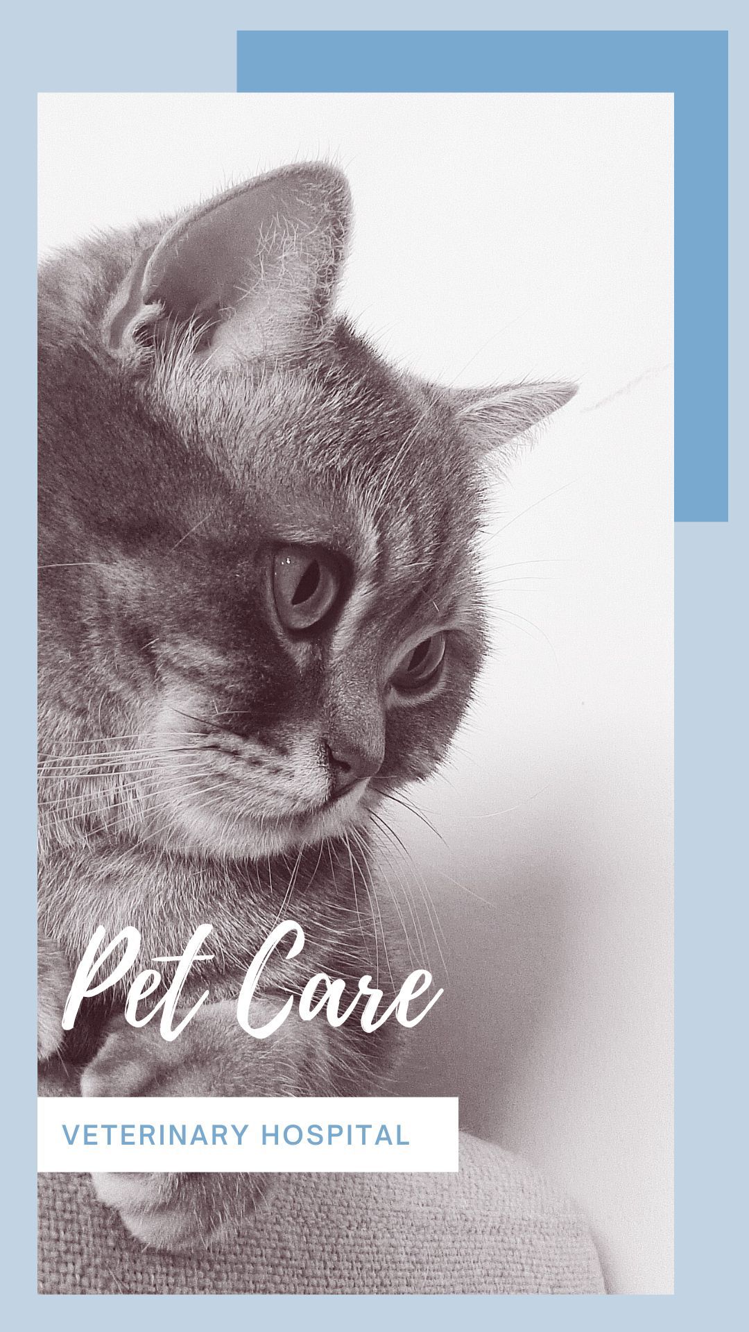 PETS Part II: Portrait 1080x1920 (70 pages)_1