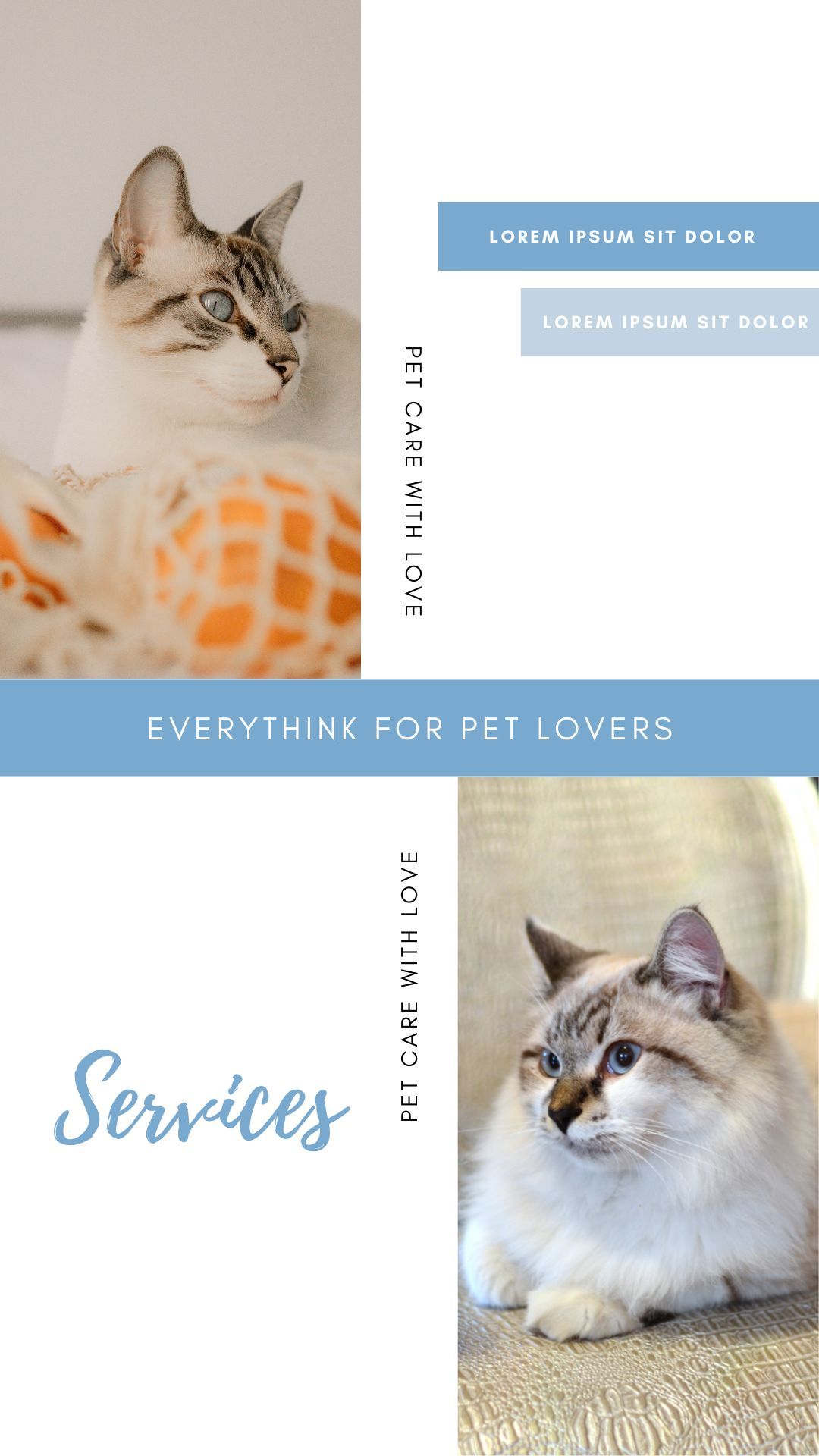 PETS Part II: Portrait 1080x1920 (70 pages)_8