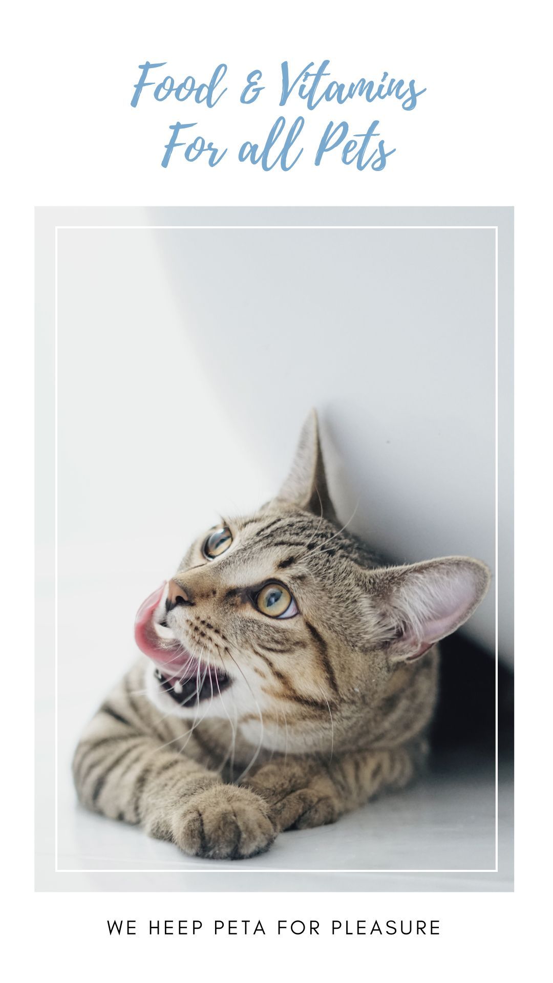 PETS Part II: Portrait 1080x1920 (70 pages)_5