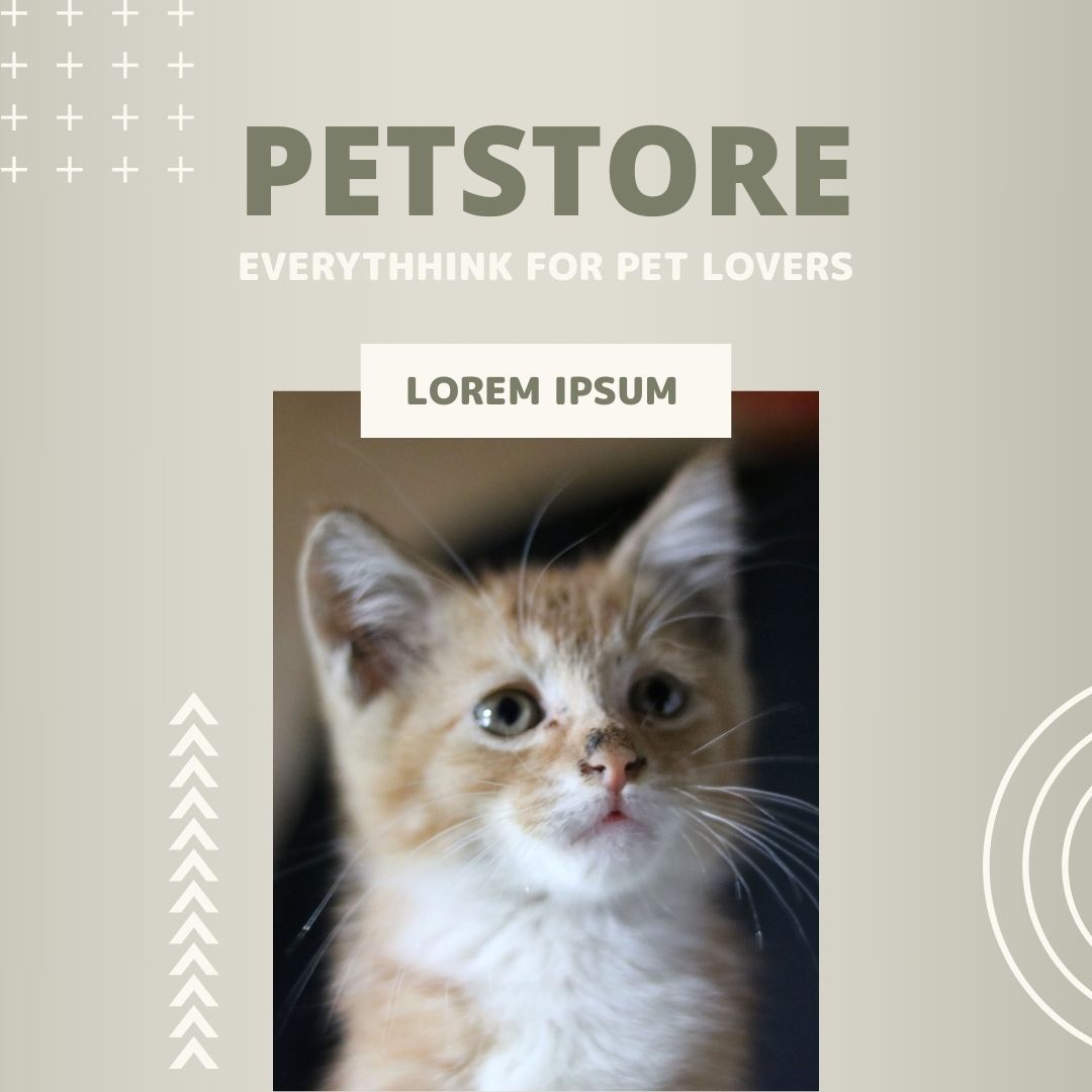 PETS Part III: Square 1080x1080 (70 pages)_6