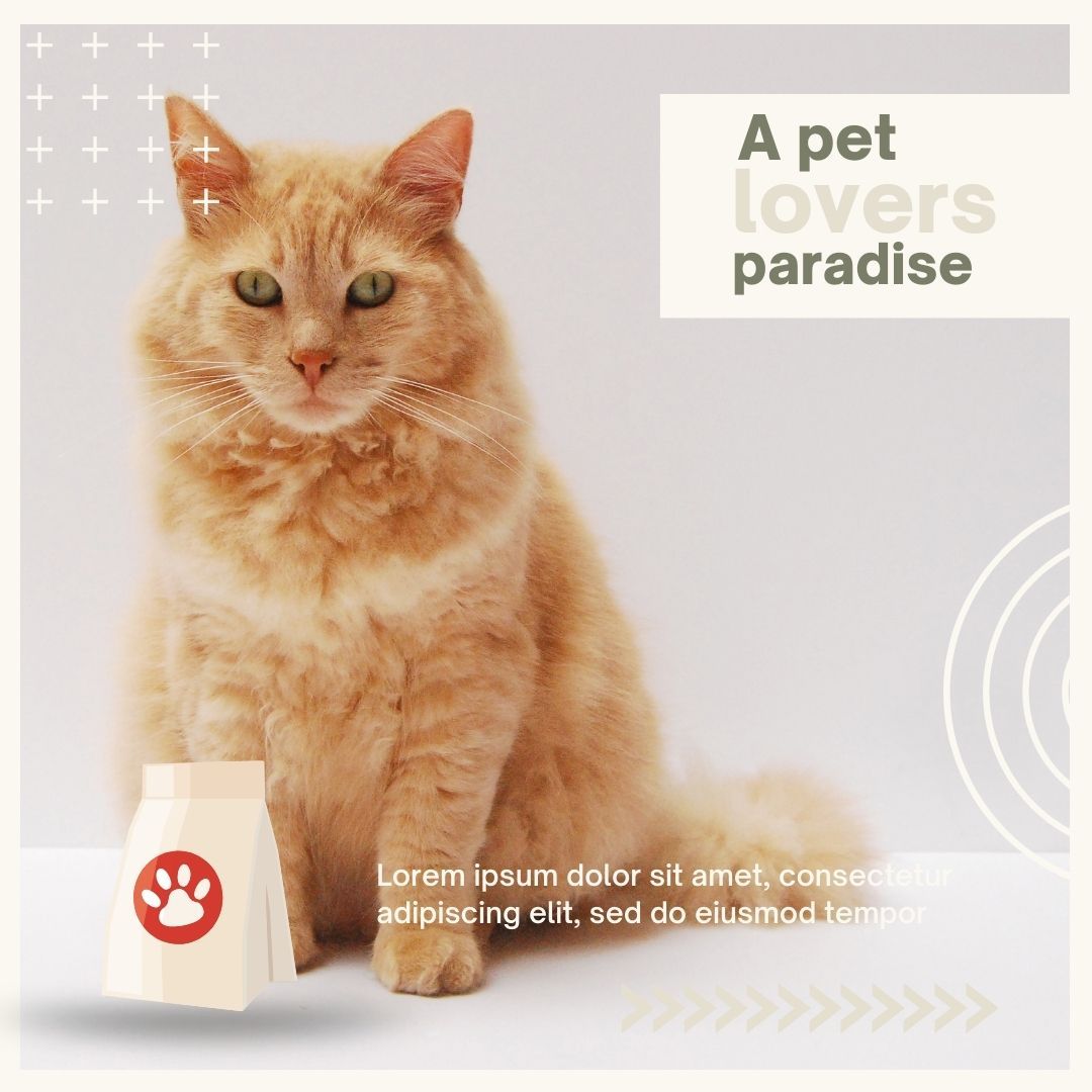 PETS Part III: Square 1080x1080 (70 pages)_8