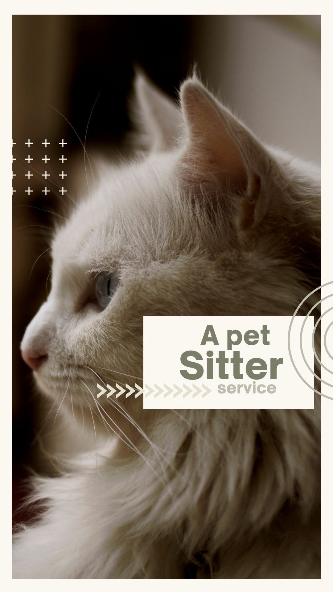 PETS Part III: Portrait 1080x1920 (70 pages)_3