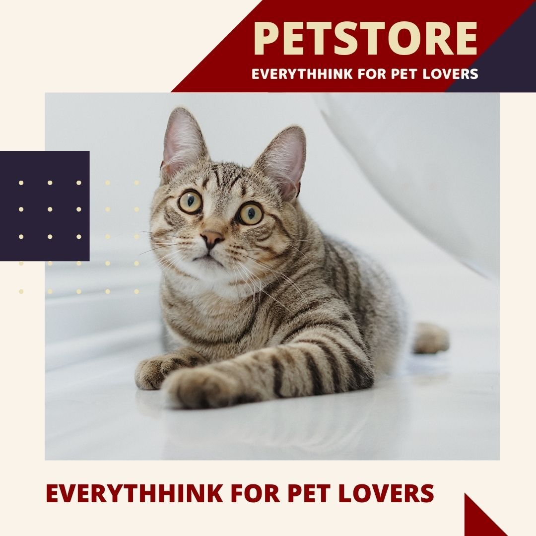 PETS Part IV: Square 1080x1080 (70 pages)_3