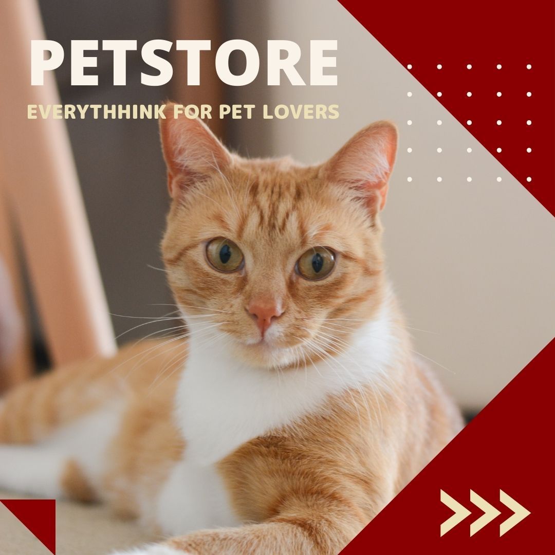 PETS Part IV: Square 1080x1080 (70 pages)_9