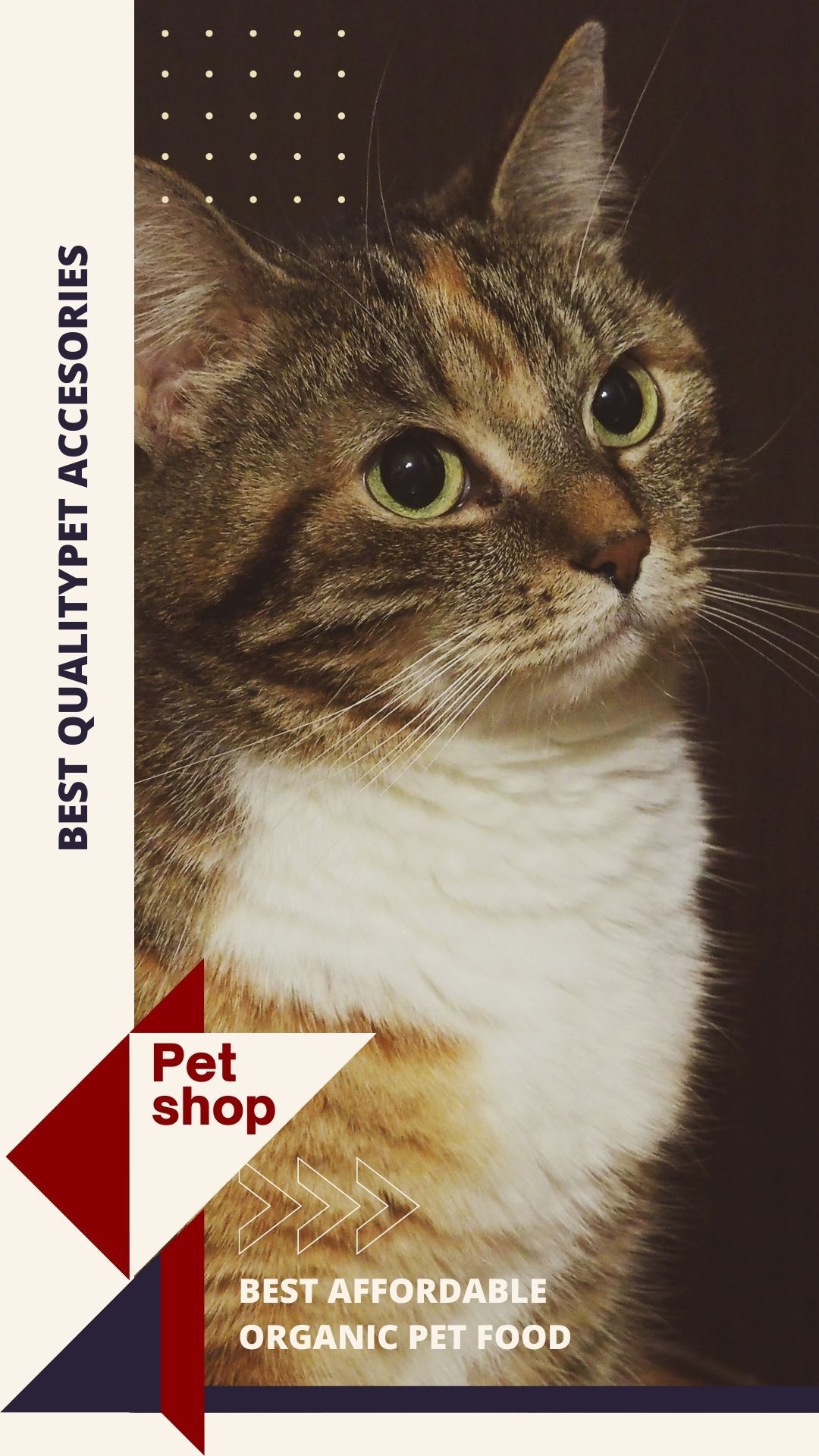 PETS Part IV: Portrait 1080x1920 (70 pages)_7