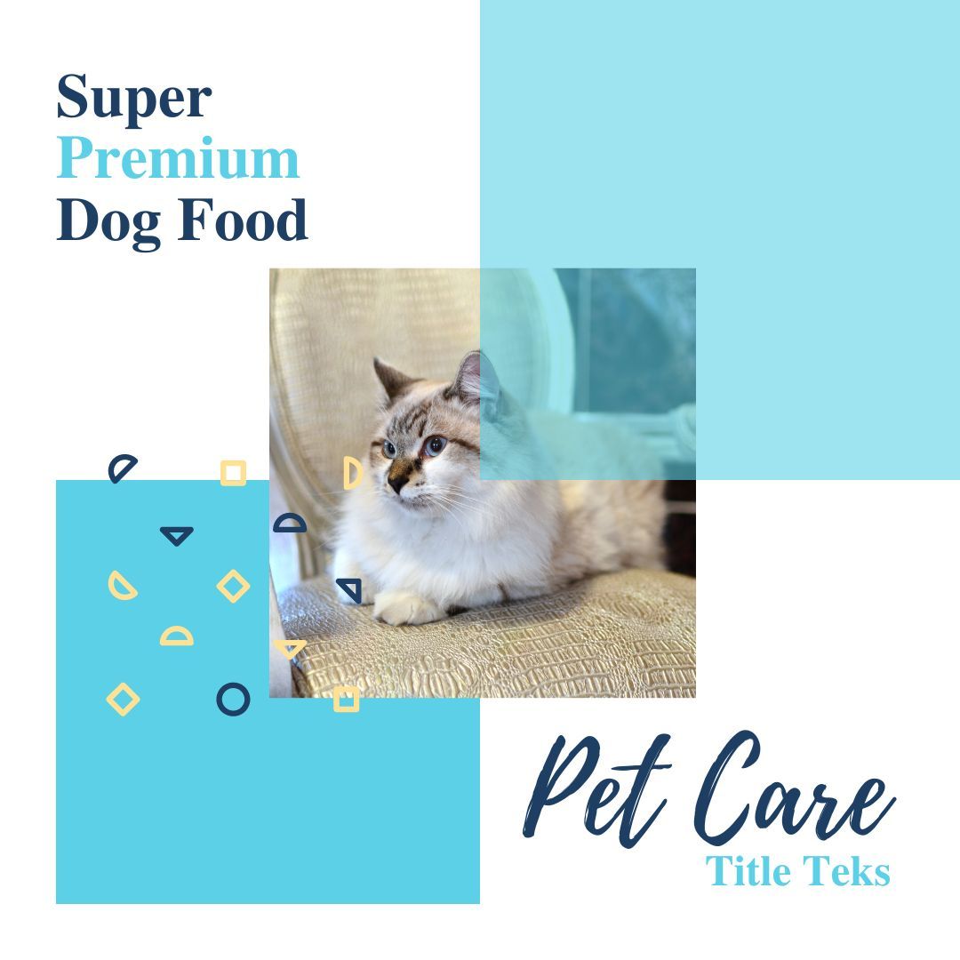 PETS Part V: Square 1080x1080 (70 pages)_8