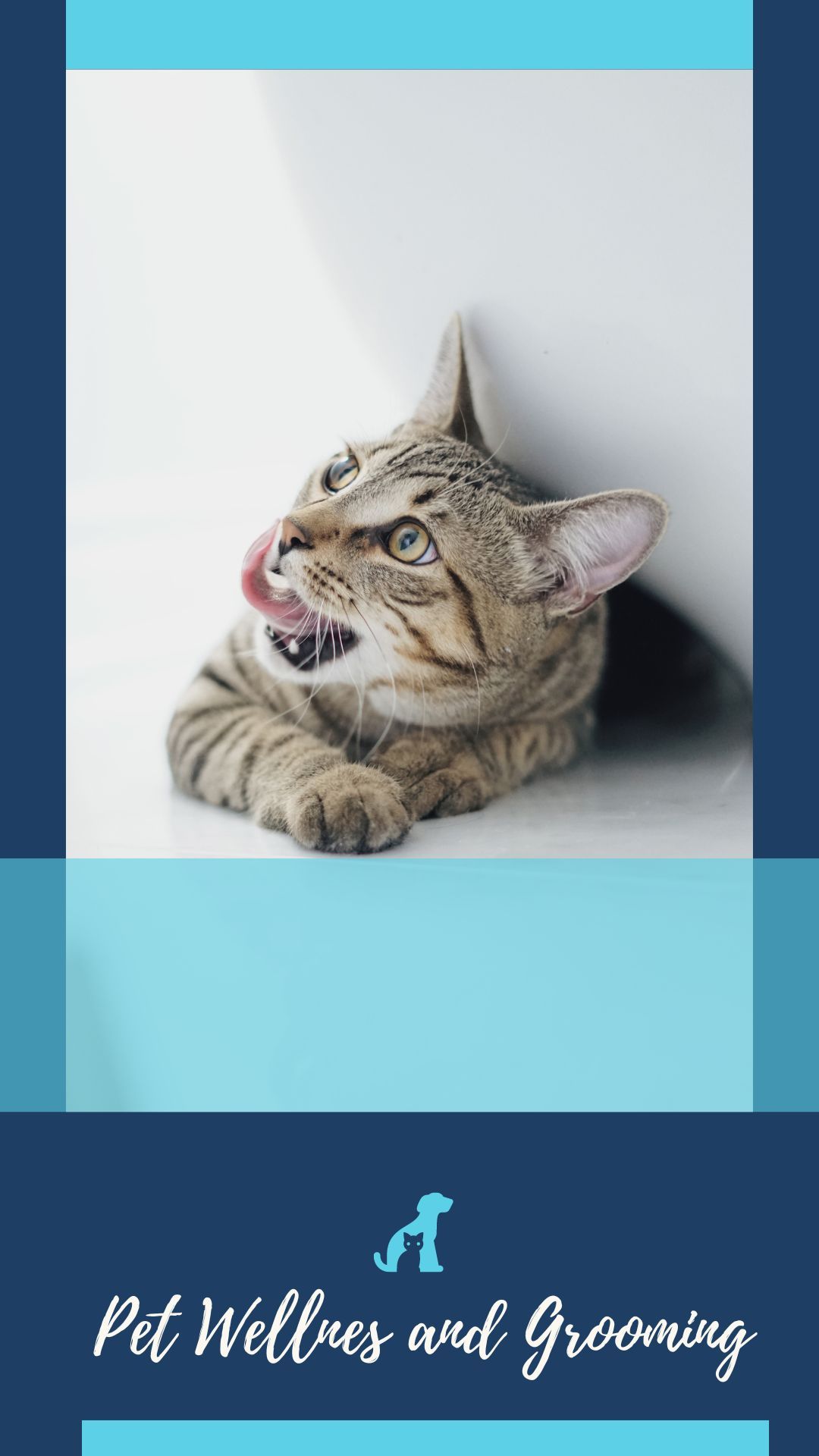 PETS Part V: Portrait 1080x1920 (70 pages)_4