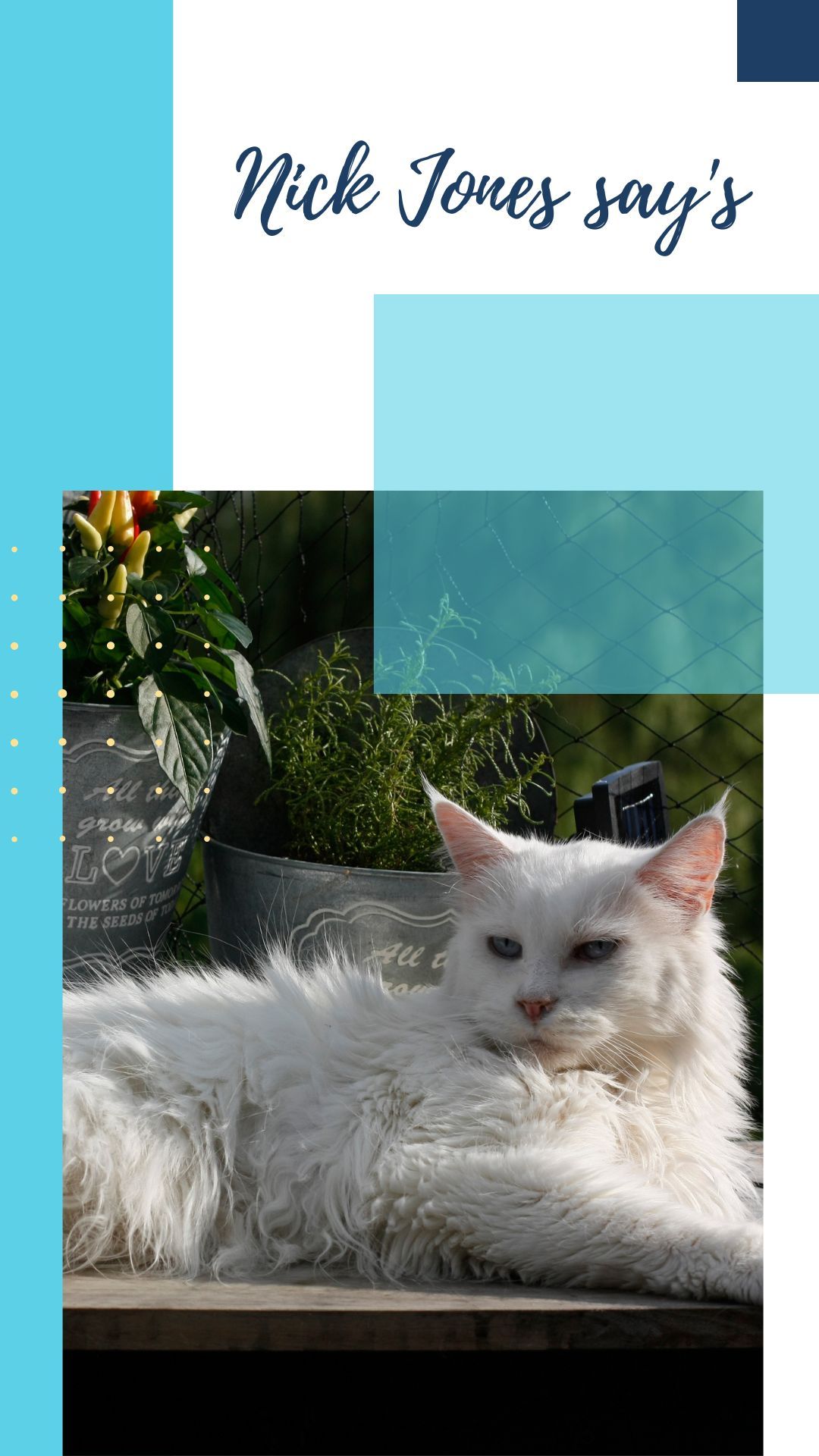 PETS Part V: Portrait 1080x1920 (70 pages)_1