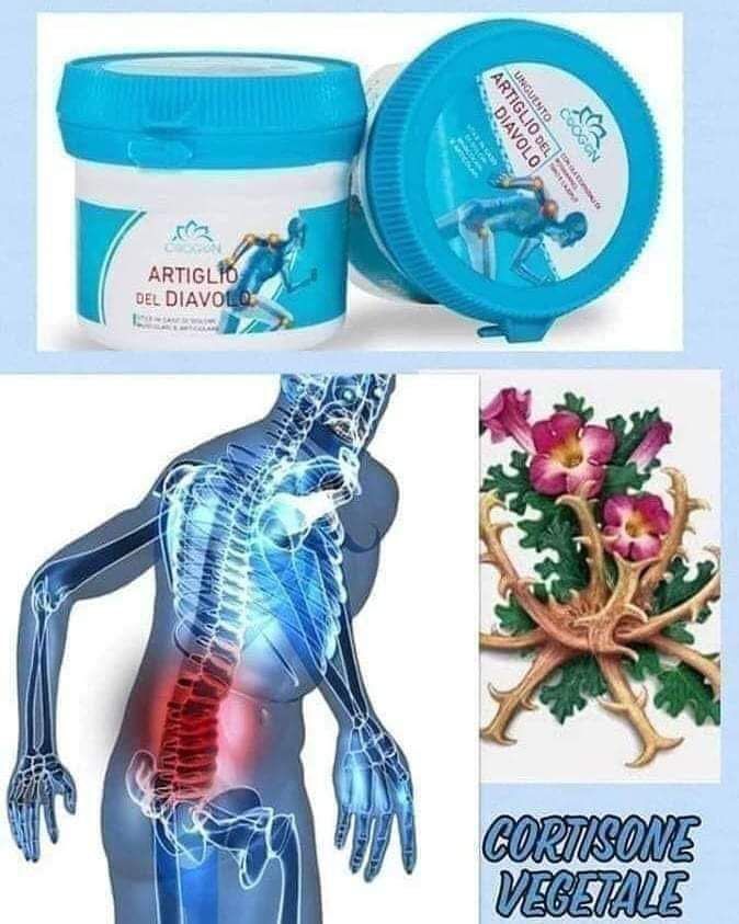 Cortisone végétale _0