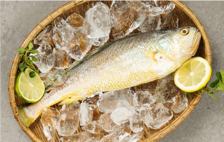 반건조 금조기 220~240g  _0