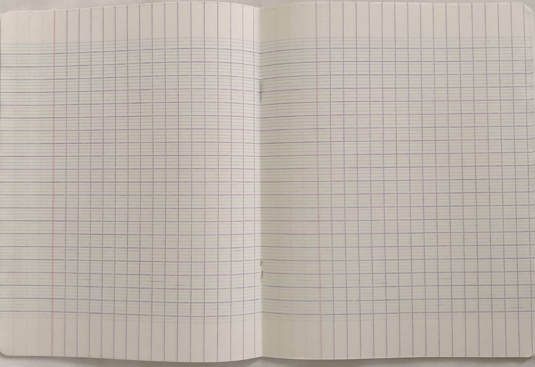 Cahier Séyès 96 pages - Authentik_2