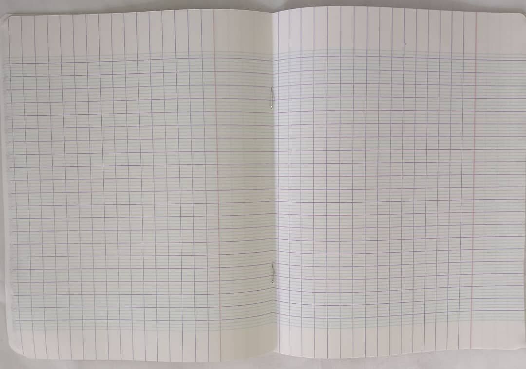 Cahier Séyès 96 pages - Authentik_5