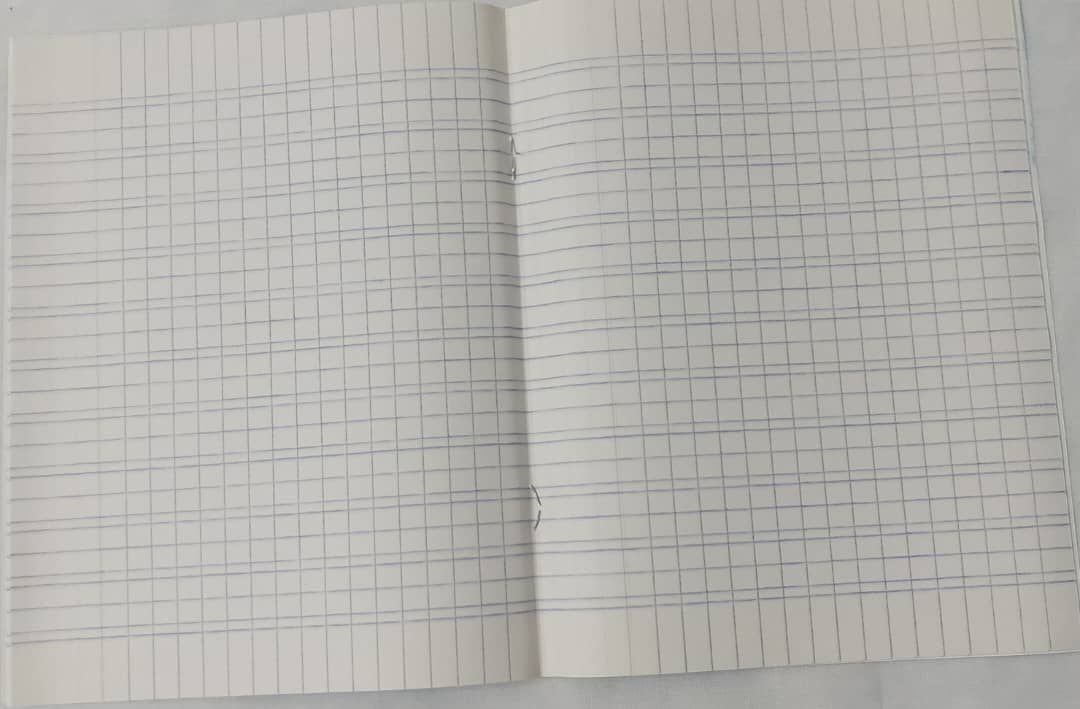 Cahier Double ligne 32 pages - Privilège_2