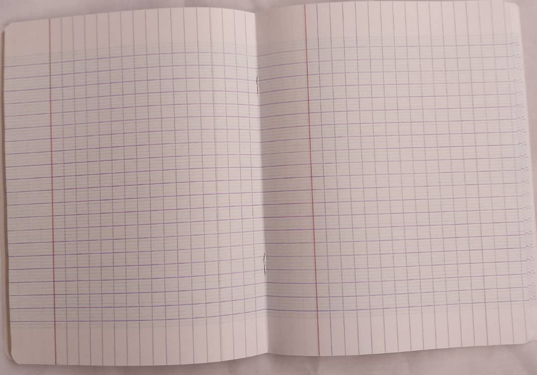 Cahier Séyès 192 pages - Authentik_2