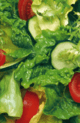 GREEN SALAD_0