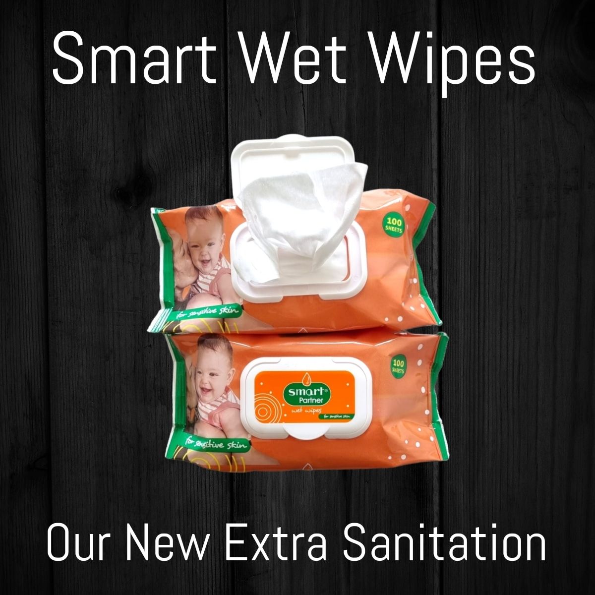 SMART PARTNER WET WIPES 100P X12 - 20721_0