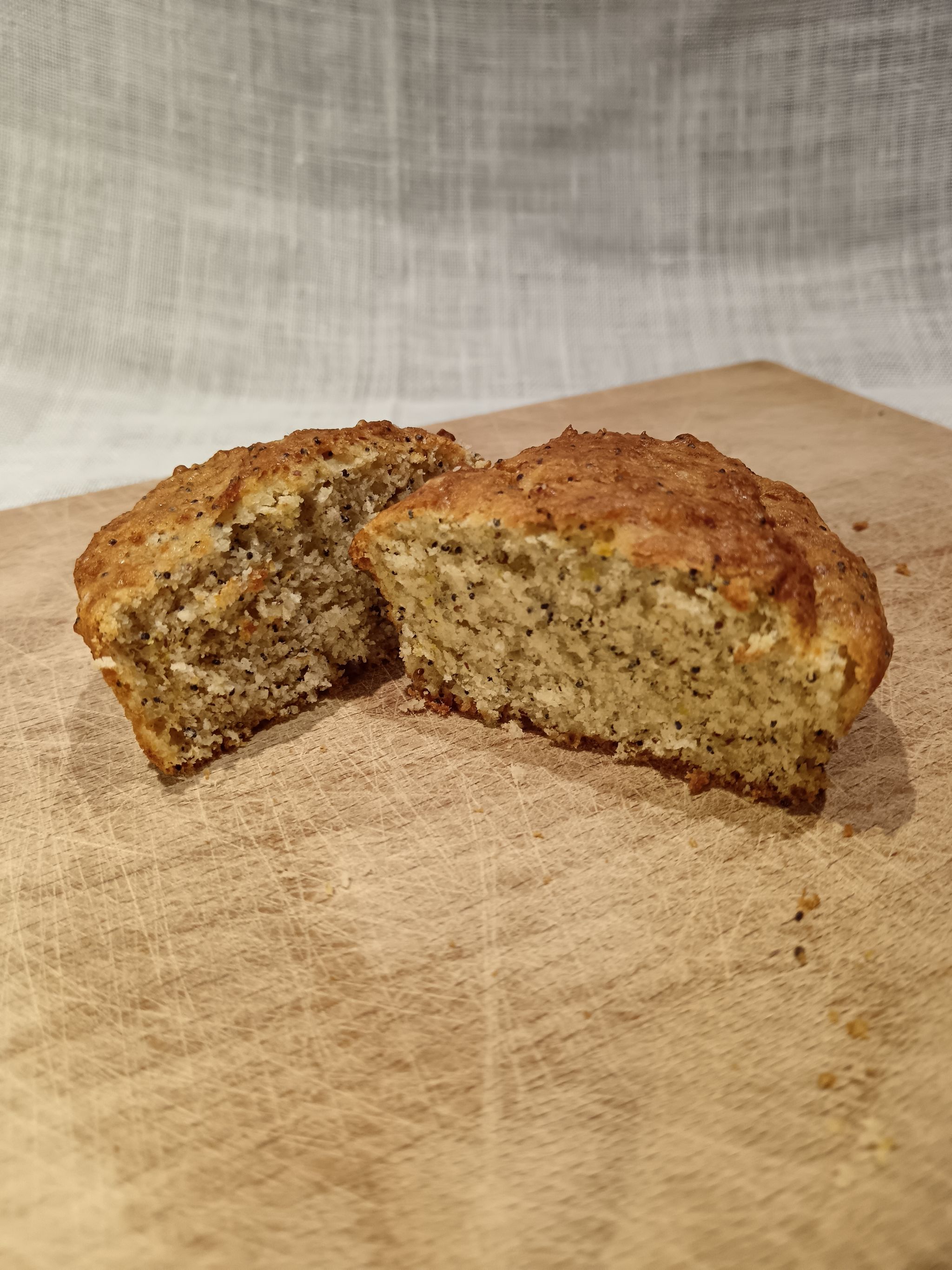 Gluten and lactose free lemon and poppy seed muffin_1