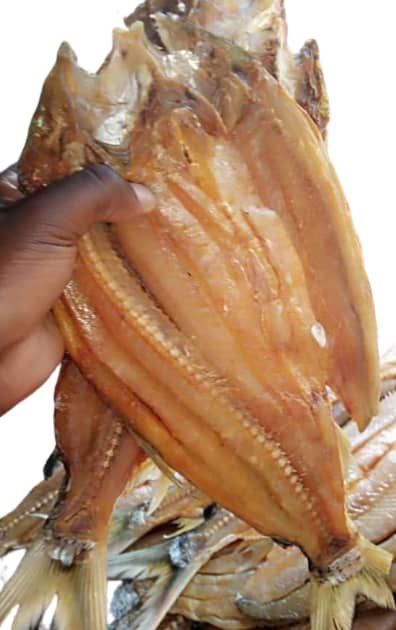 KARIBA DRIED TIGER FISH_3