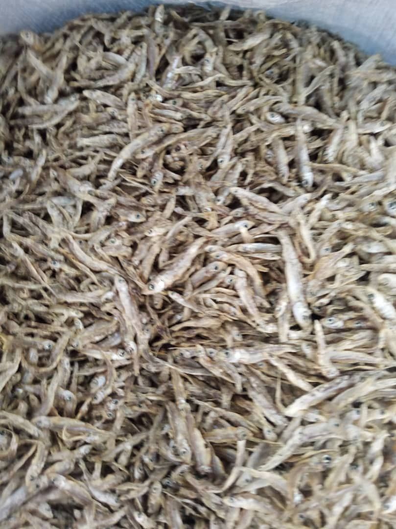 KARIBA DRIED MATEMBA_0