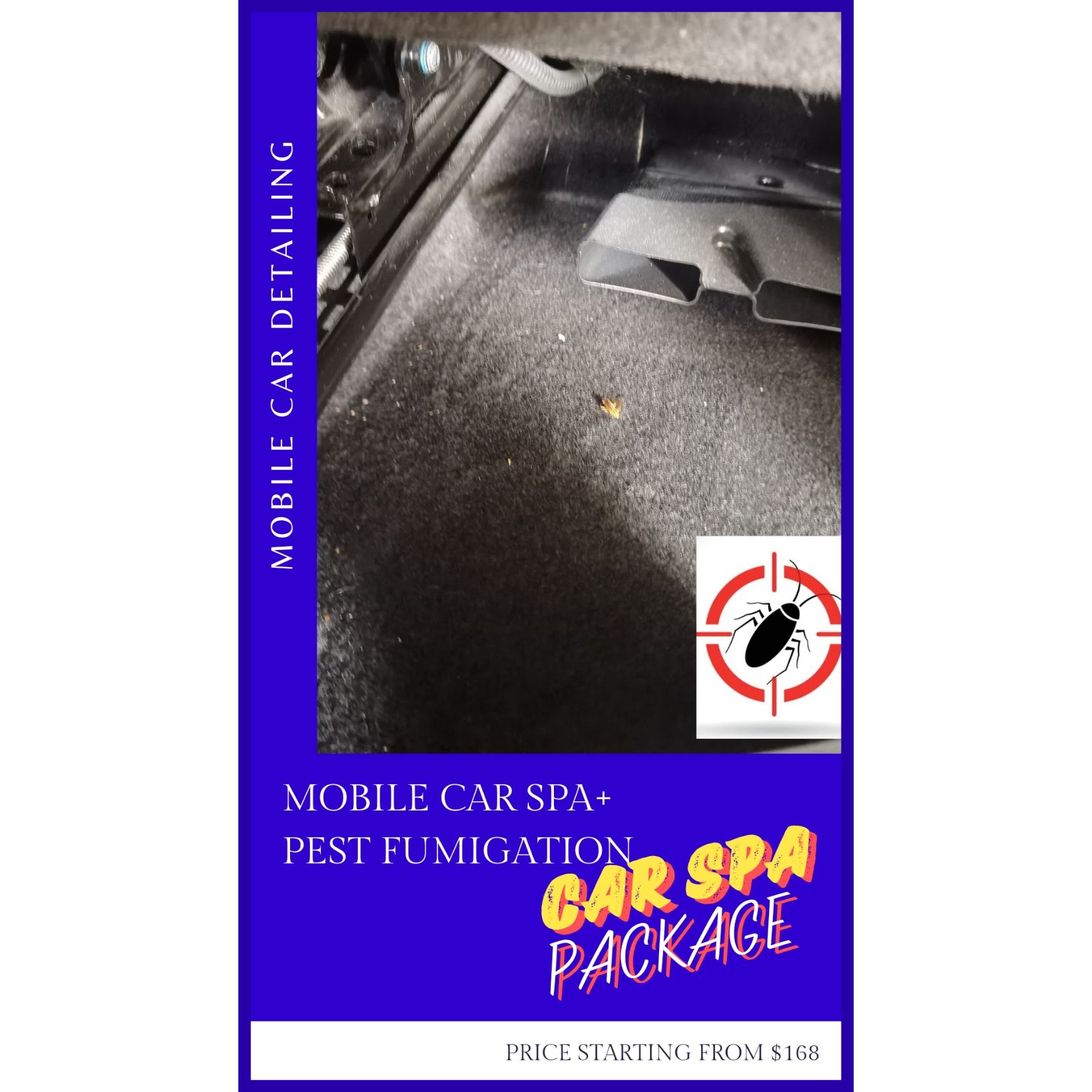 Mobile Car Spa Premium Pest Fumigation_0