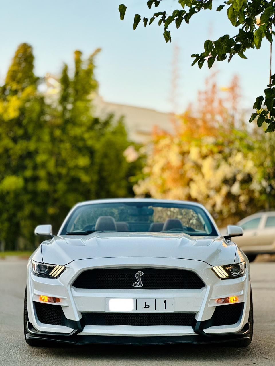 FORD MUSTANG GT CABRIOLET V8 5.0L BVA10_0