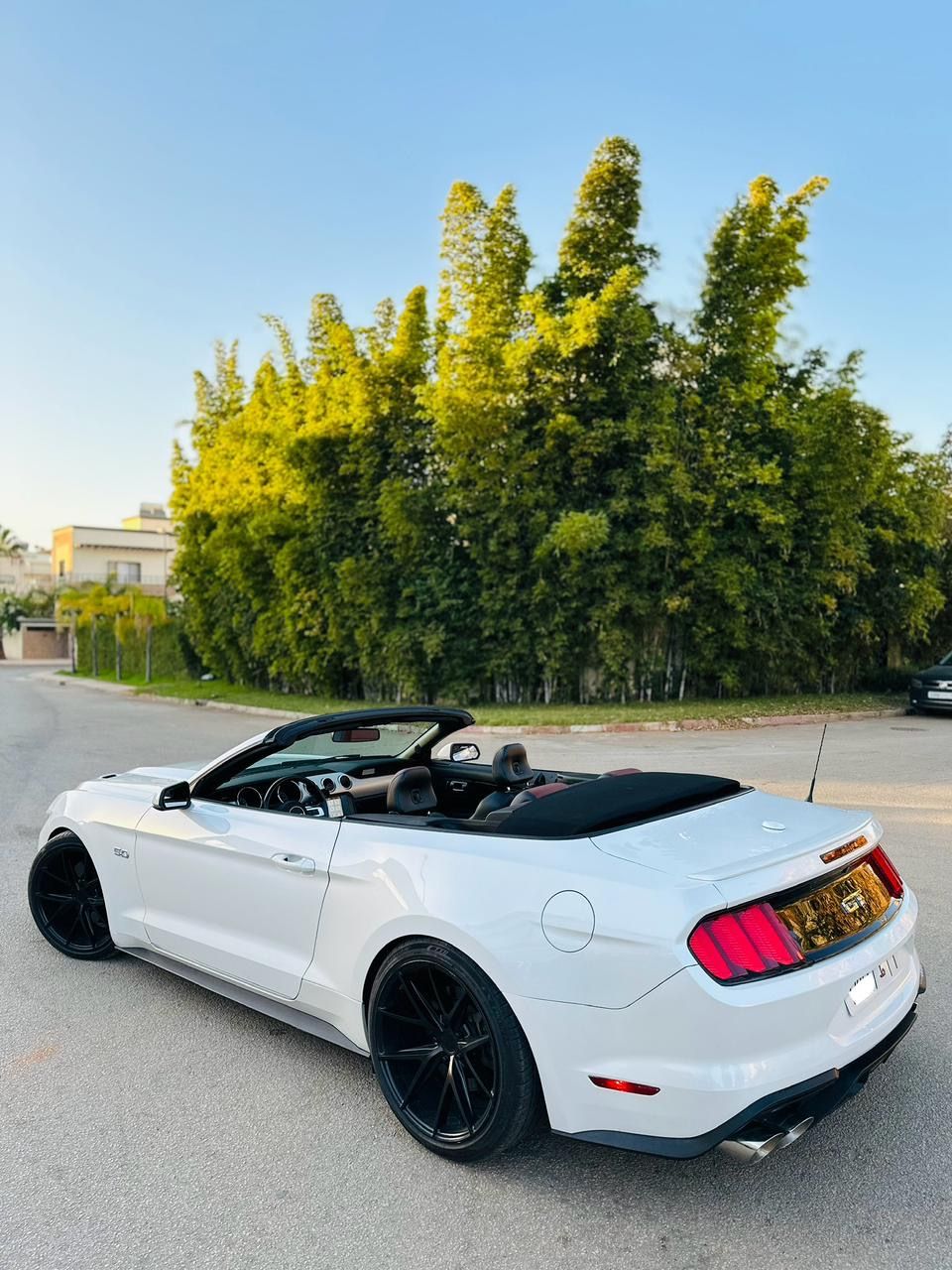 FORD MUSTANG GT CABRIOLET V8 5.0L BVA10_5