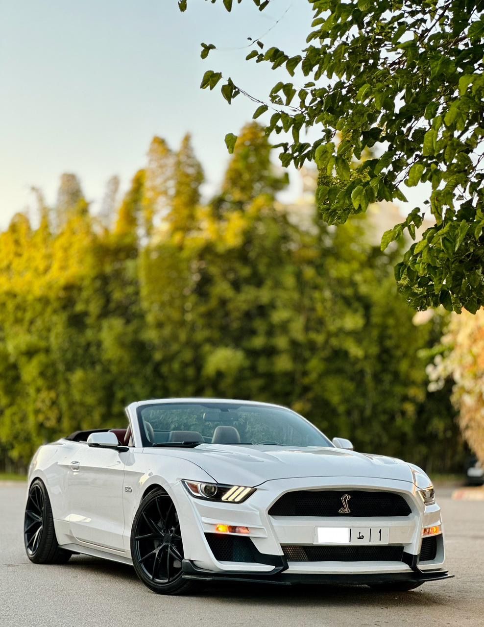 FORD MUSTANG GT CABRIOLET V8 5.0L BVA10_2