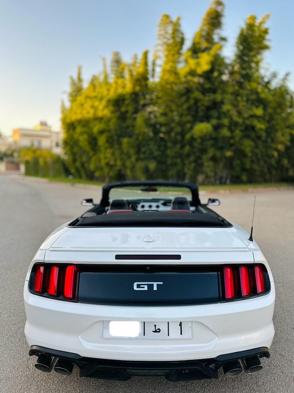 FORD MUSTANG GT CABRIOLET V8 5.0L BVA10_4