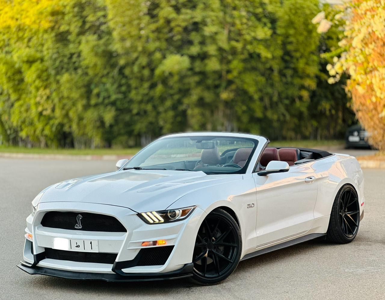 FORD MUSTANG GT CABRIOLET V8 5.0L BVA10_10