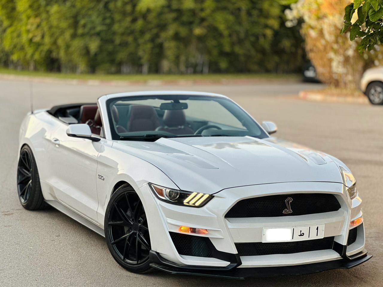 FORD MUSTANG GT CABRIOLET V8 5.0L BVA10_11