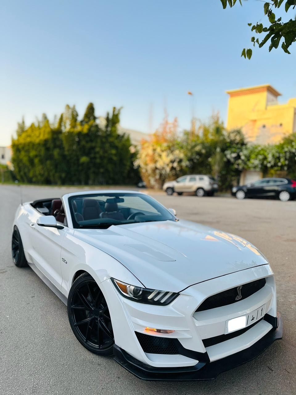 FORD MUSTANG GT CABRIOLET V8 5.0L BVA10_13