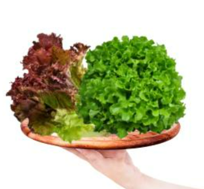 Meod Salad Bundel C (Red Crisp & Green Oak) 200g -沙拉生菜_0