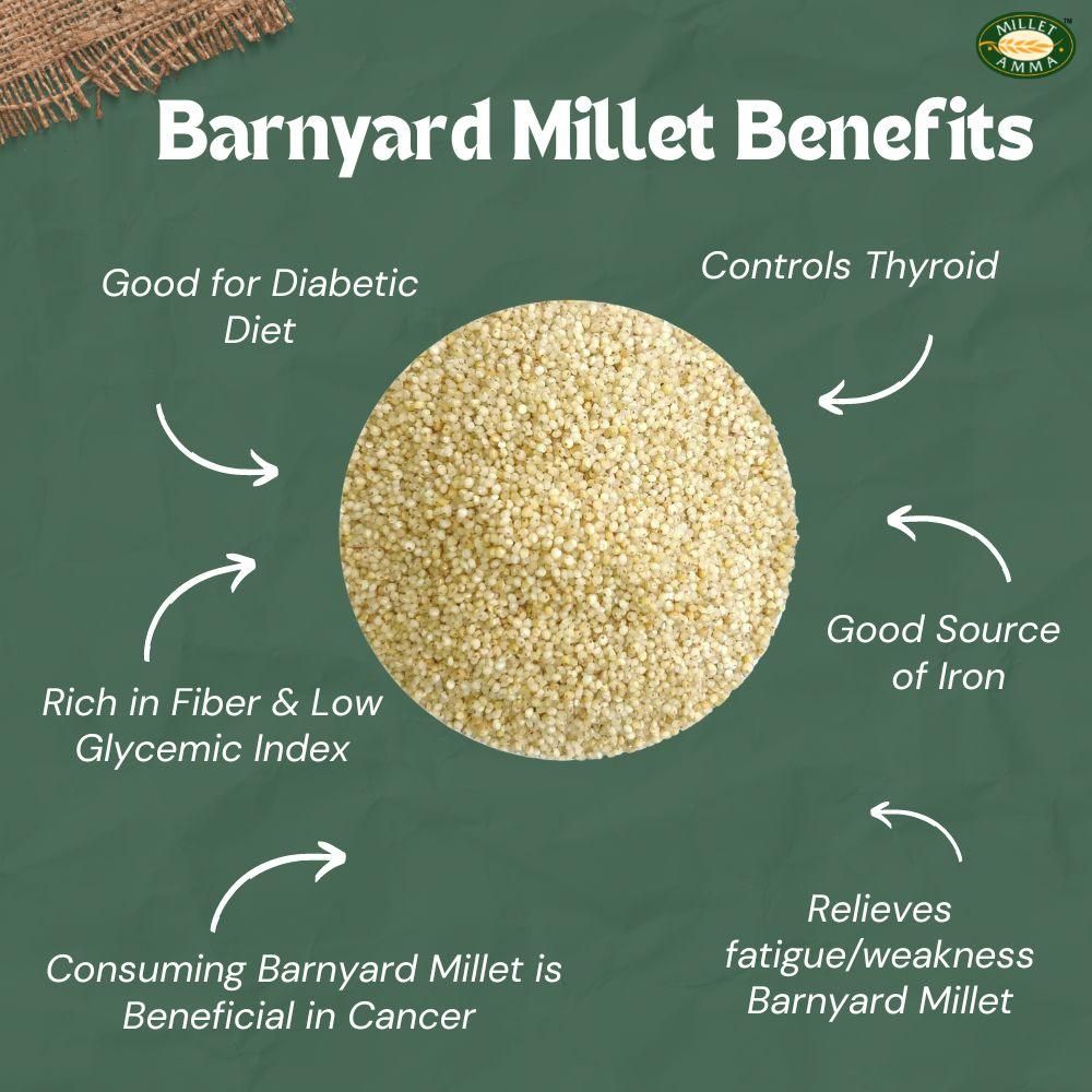 Barnyard Millet_1