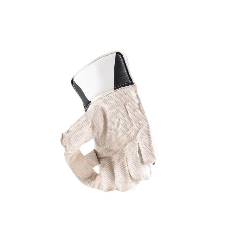 GN350 Wicket Keeping Glove_2