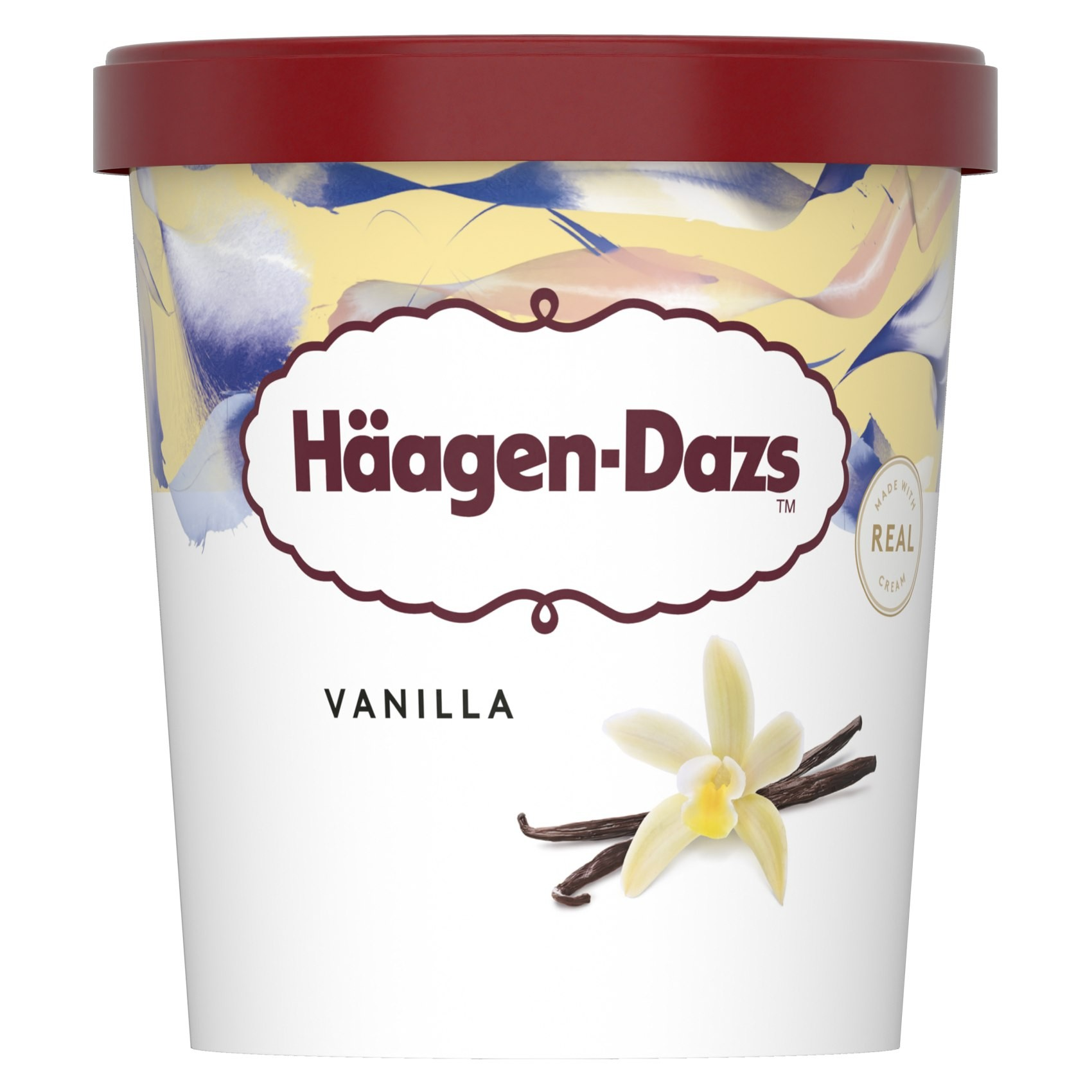 Haagen Dazs Vanilla Ice Cream_0