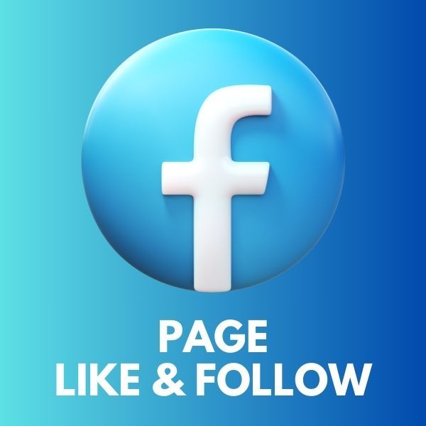 Page Likes + Followers_0