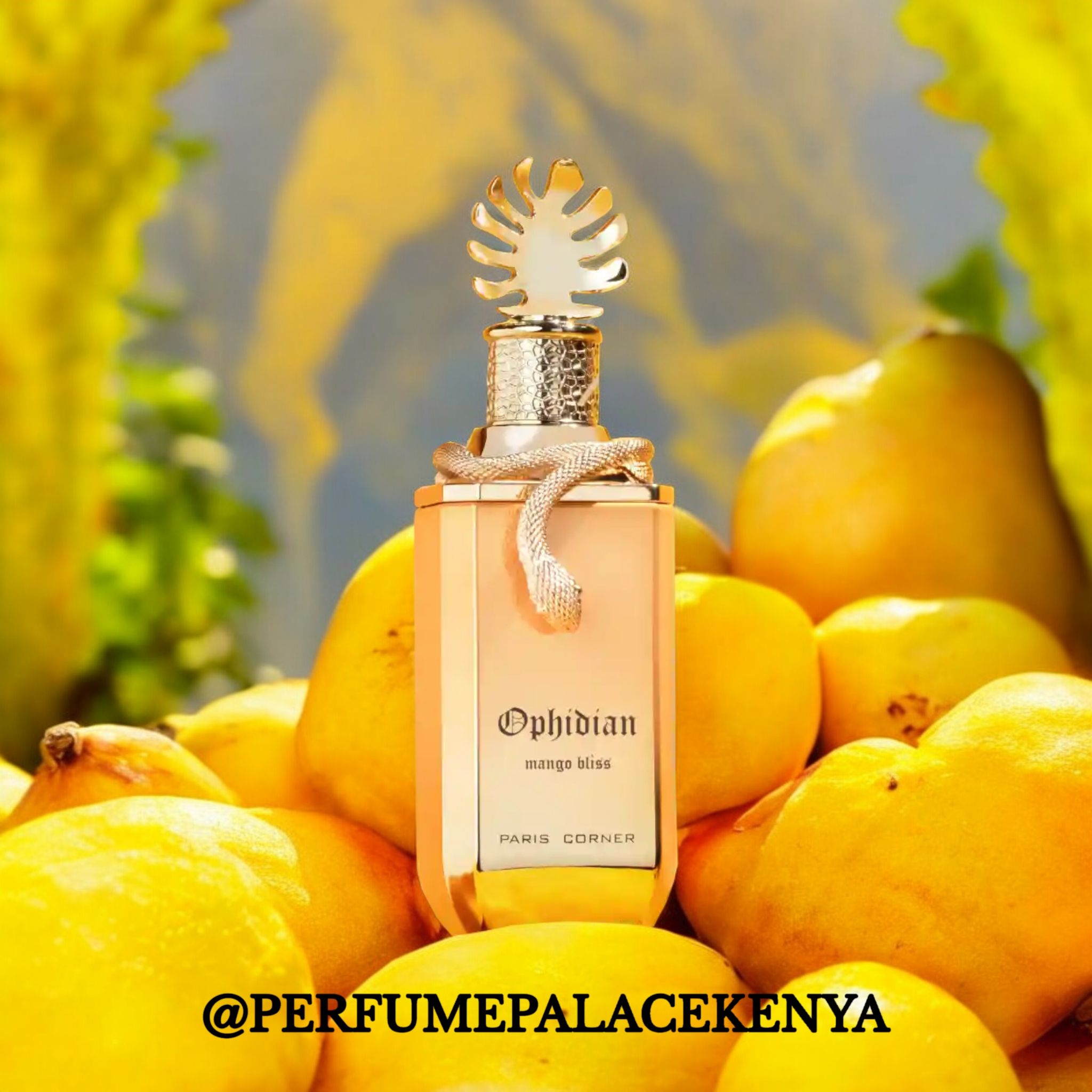 OPHIDIAN MANGO BLISS _0