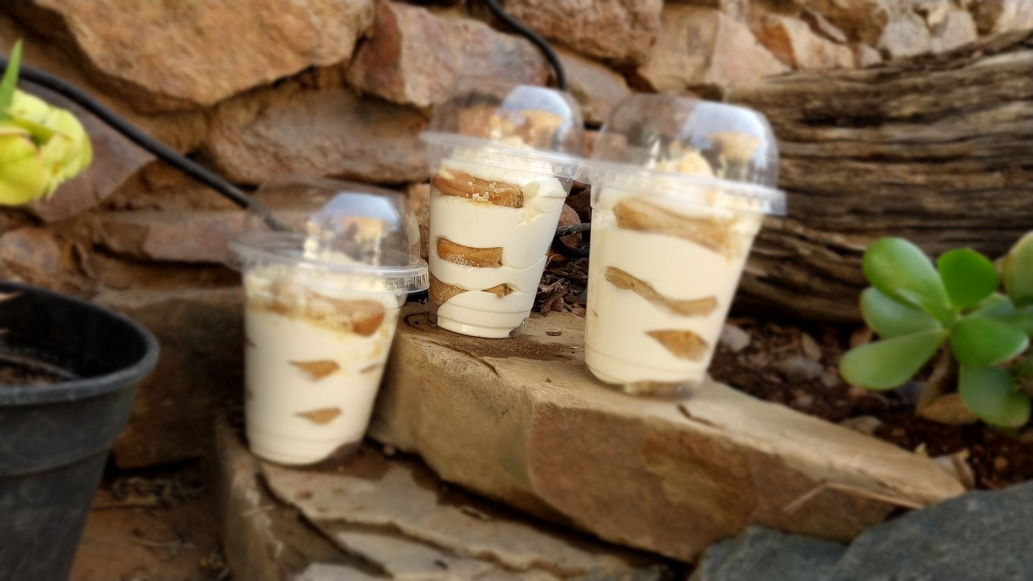 CheeseCake_3