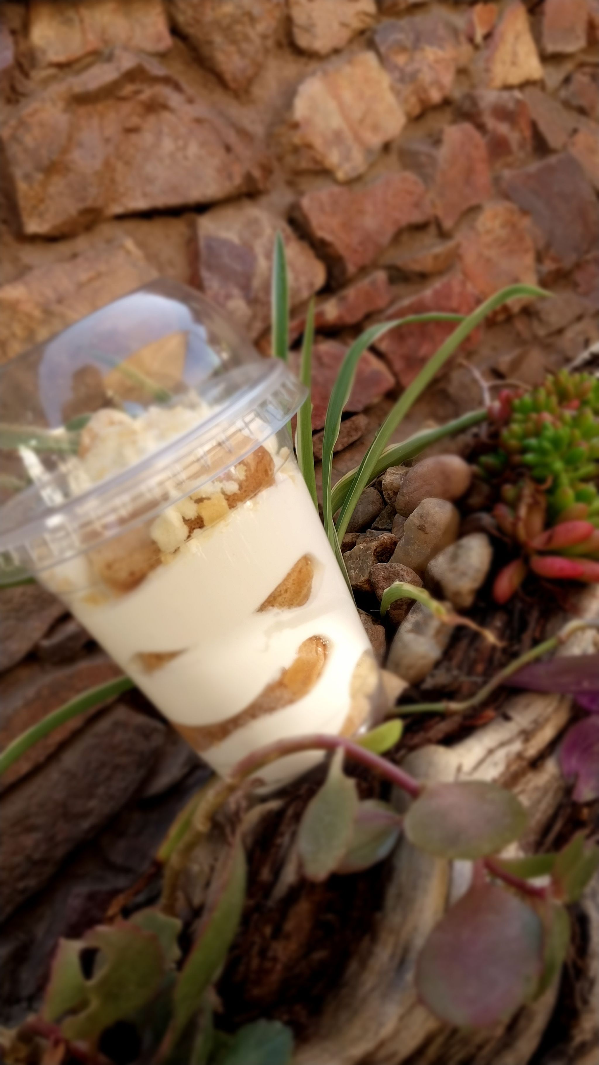 CheeseCake_2