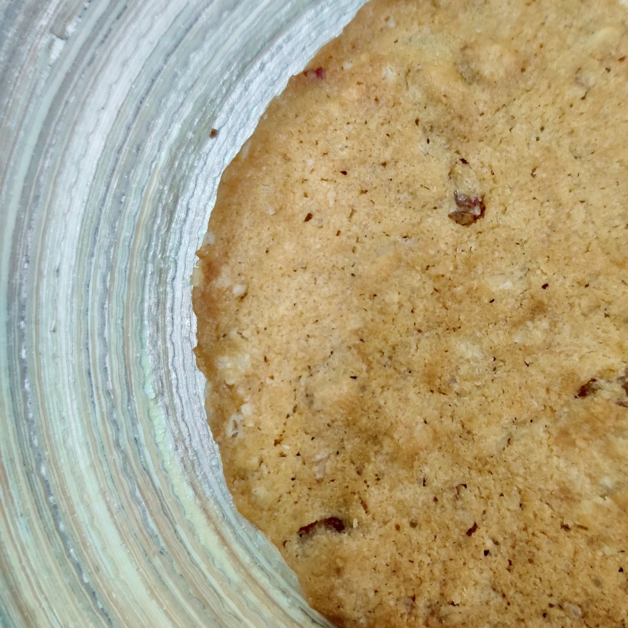 Oatmeal Raisin Cookie_1