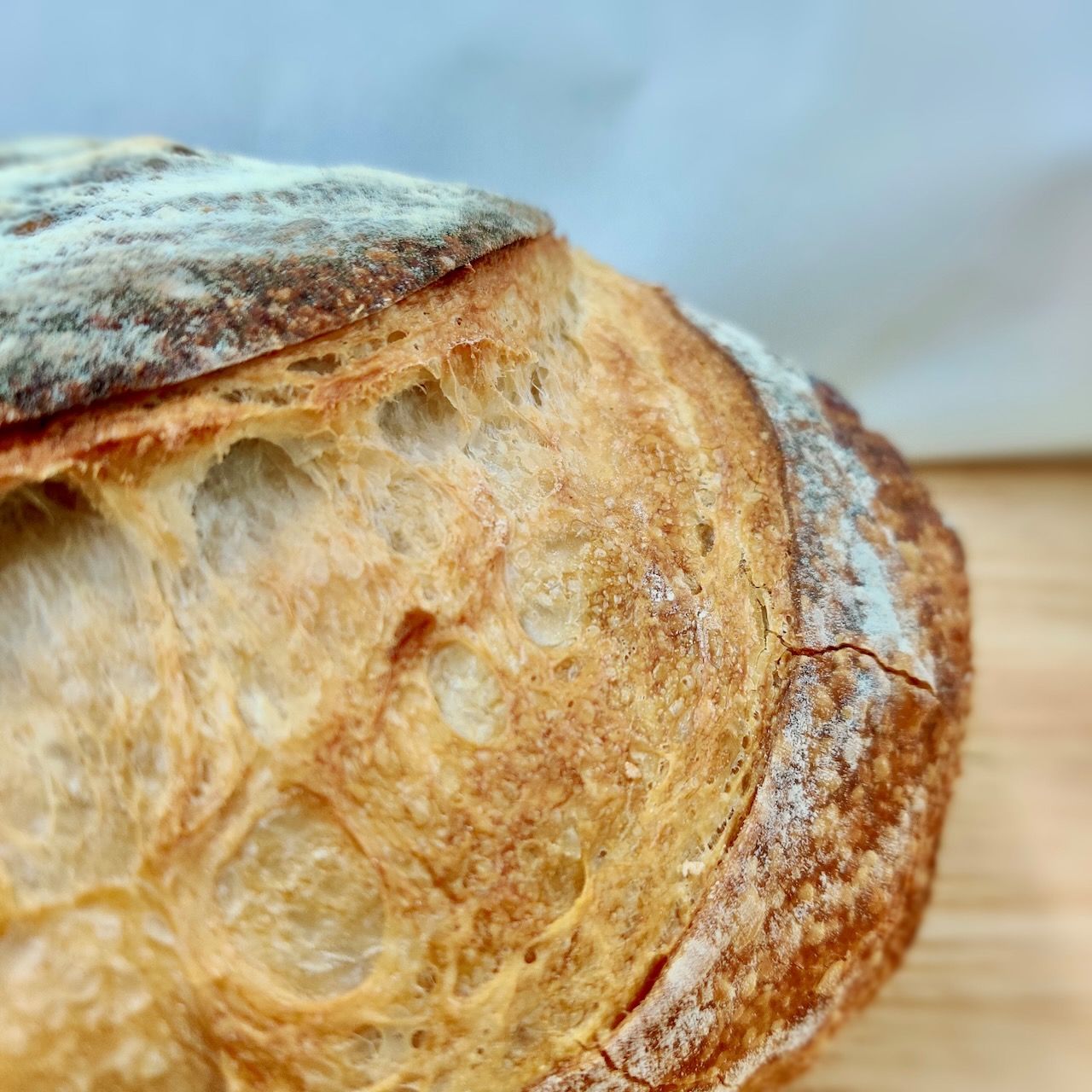 Rustic White Sourdough_1