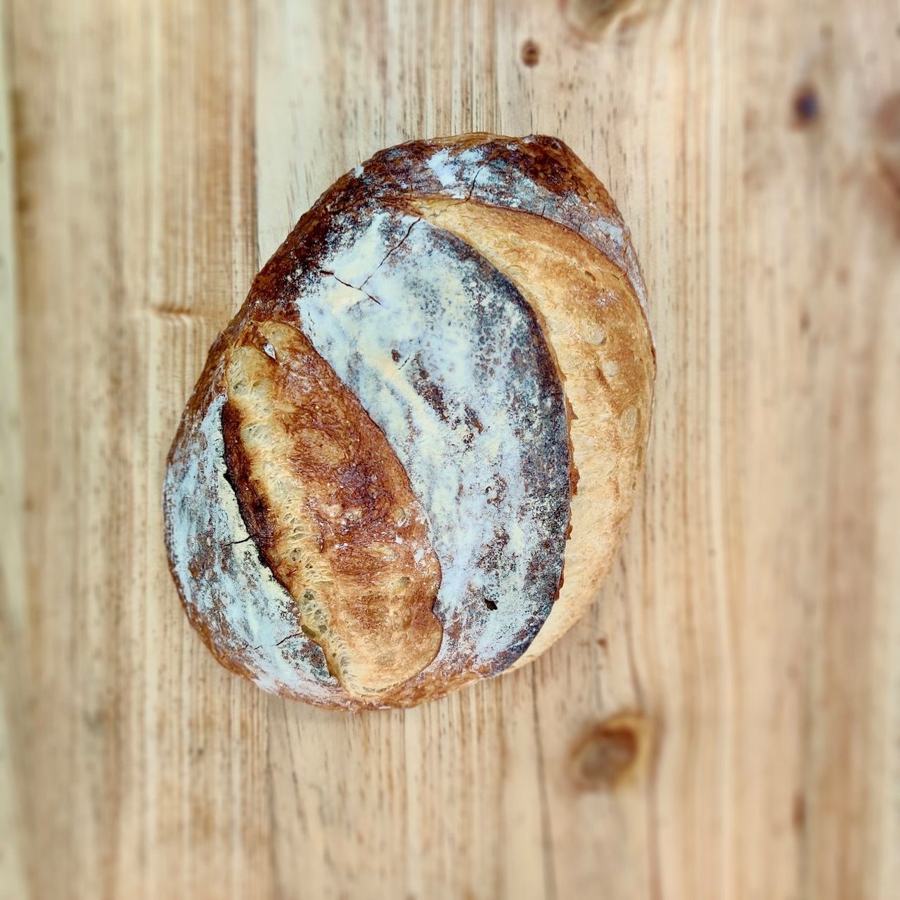 Rustic White Sourdough_2