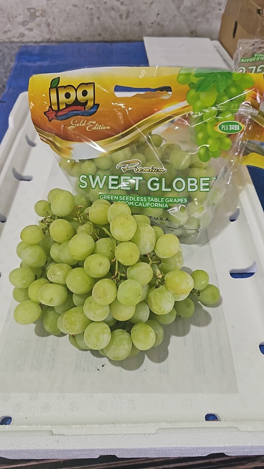 GREEN GRAPE SWEET GLOBE(USA) (1.2kg)_0