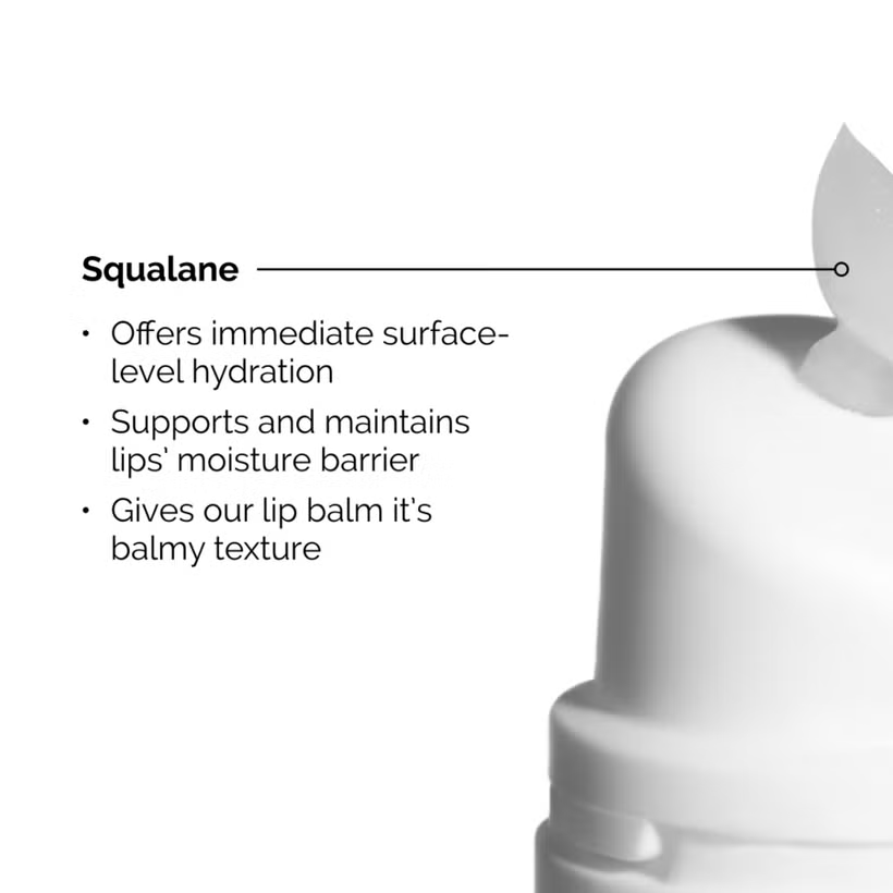 The Ordinary Squalane and Amino Acid Lip Balm 15ml_5