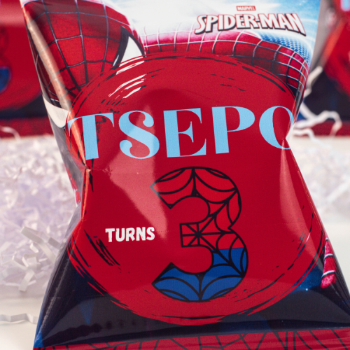 Spiderman Chipbag_0