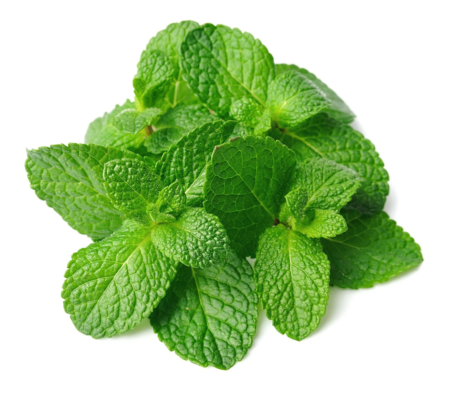 Mint Leaves 100g_0