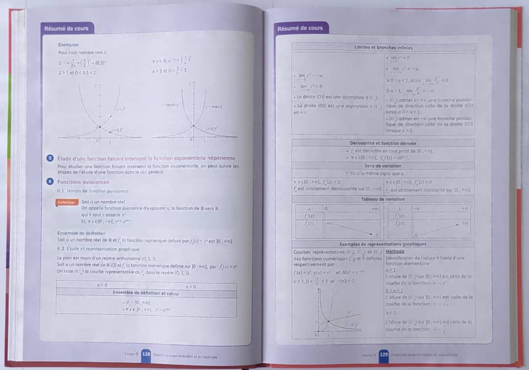 Mathematique Manuel (Valesse) - Tle D_2