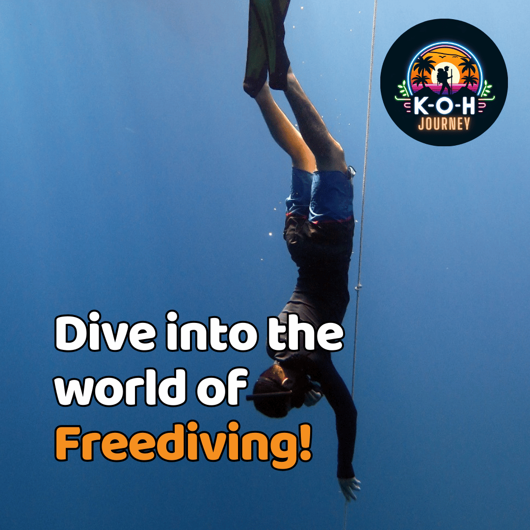 PADI Freediving License 🪪 - 3 Day Course (20% Deposit)_1