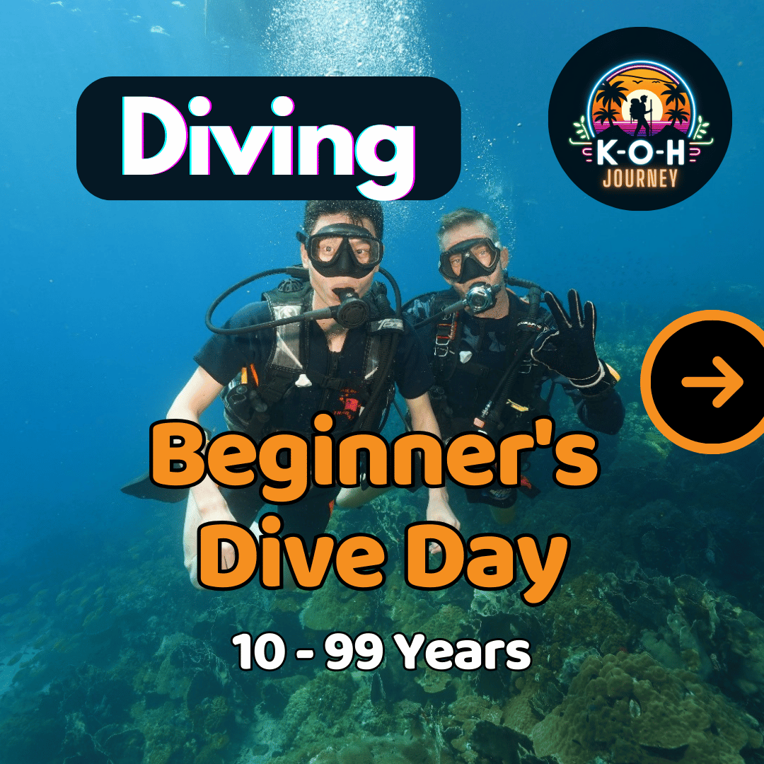 Discover Scuba Day – 2 Dive's & Snorkeling (20% Deposit)_0