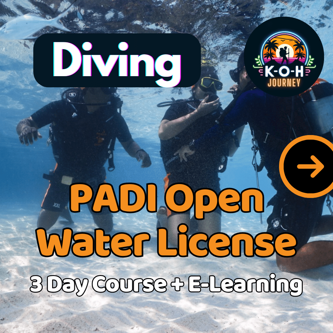 PADI Open Water Diving License 🪪 - 3 Day Course (20% Deposit)_0